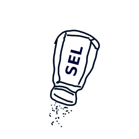 Simple but Essential Library (SEL)